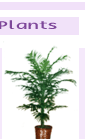 arrplants2.gif (5628 bytes)