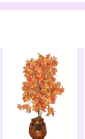 arrplants4.gif (4684 bytes)