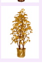 arrplants6.gif (5186 bytes)