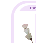 dry2-1.gif (3403 bytes)
