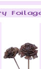 dry2-2.gif (4234 bytes)
