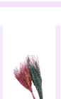 dry2-4.gif (3562 bytes)