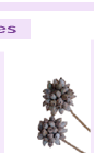 dry4.gif (3660 bytes)