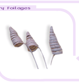 drybigimages1-1.gif (15292 bytes)