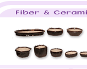 fiber2.gif (9099 bytes)