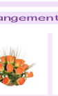 flowerarr2-2.gif (4550 bytes)