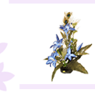 flowerarr2-5.gif (5816 bytes)