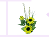 flowerarr2-6.gif (6190 bytes)