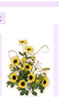 flowerarr3.gif (6812 bytes)