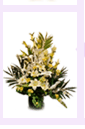 flowerarr6.gif (5967 bytes)